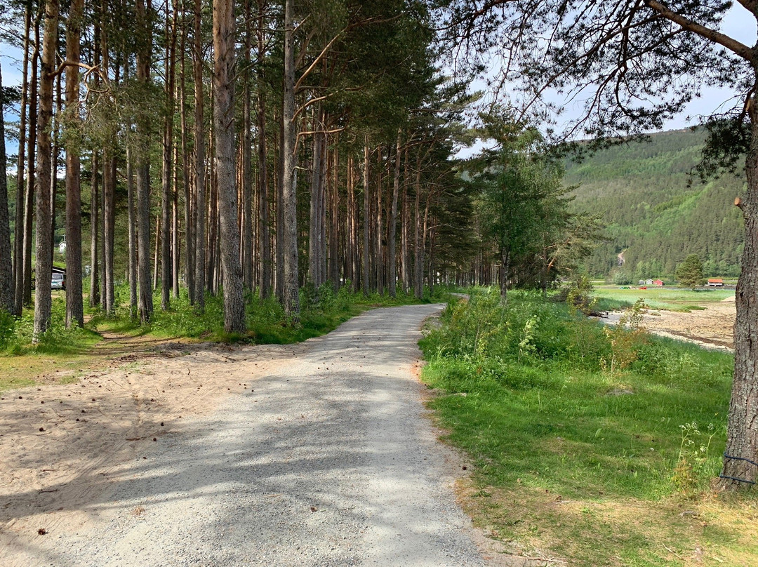 Fugelvag Farm & Camping