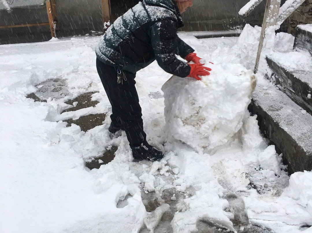 Paldor Peak Guest House主图