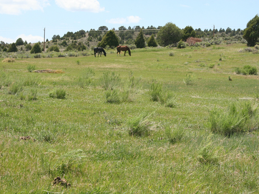 Bryce Zion Inn主图