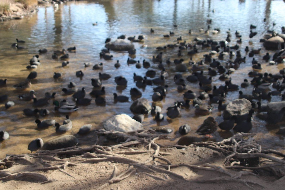 Hesperia Lake-希斯皮里亚必去景点