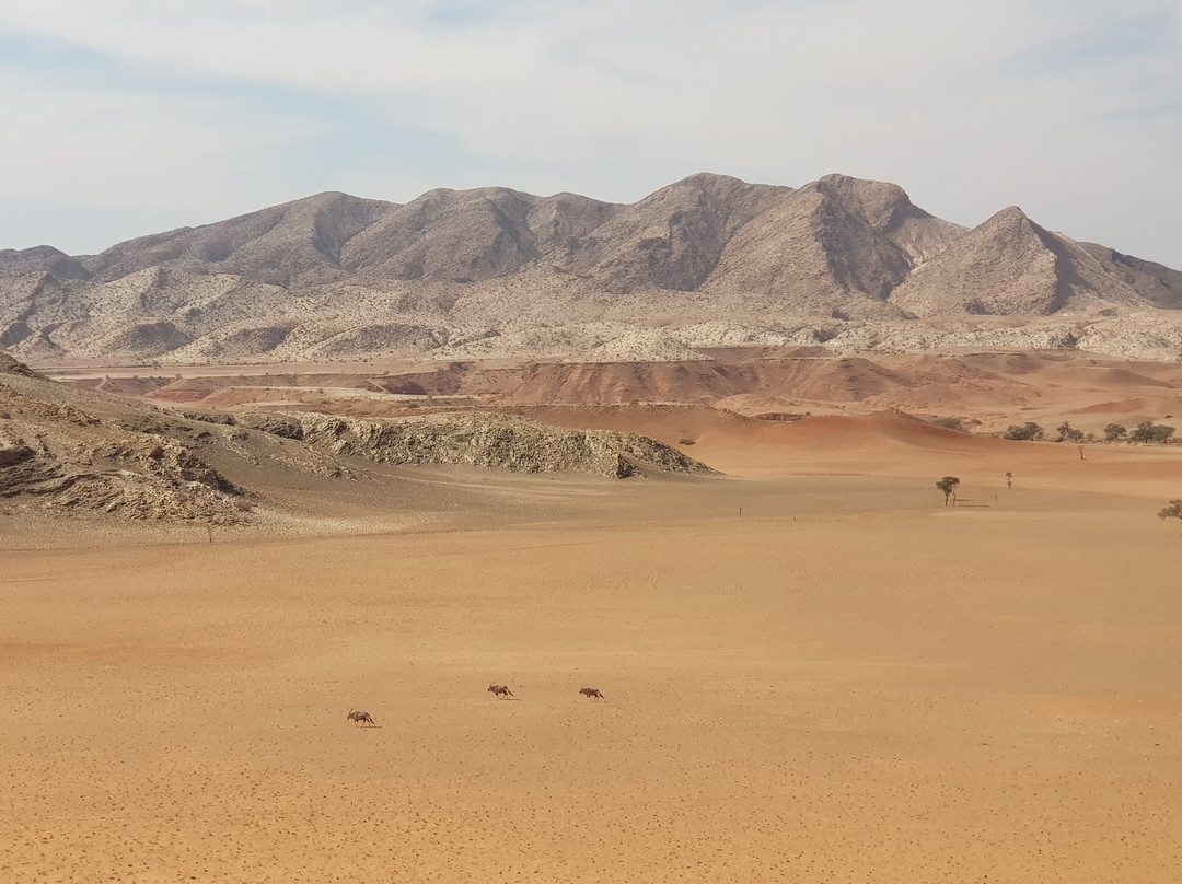 Sossus On Foot Desert Tours-苏丝斯黎必去景点