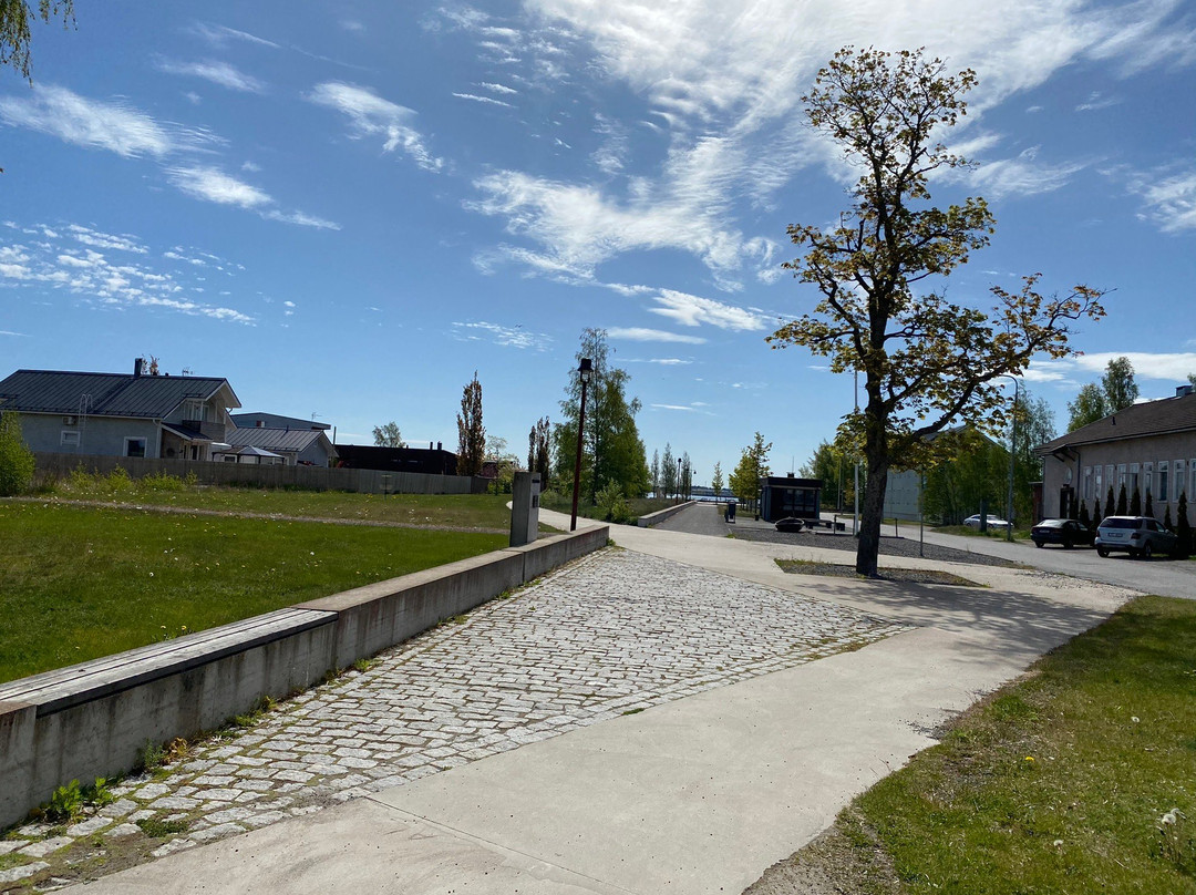 Kelponpuisto
