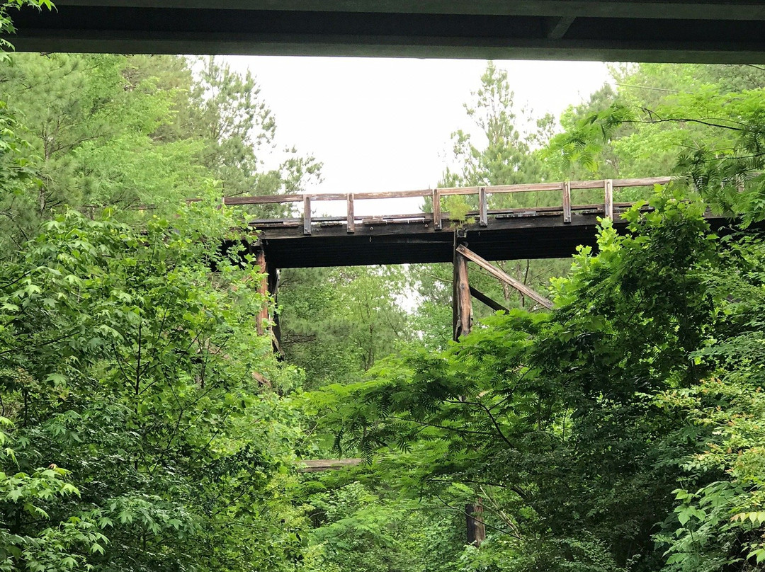 Silver Comet Trail-士麦那必去景点