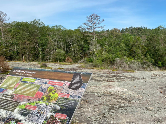 Panola Mountain State Park-Stockbridge必去景点