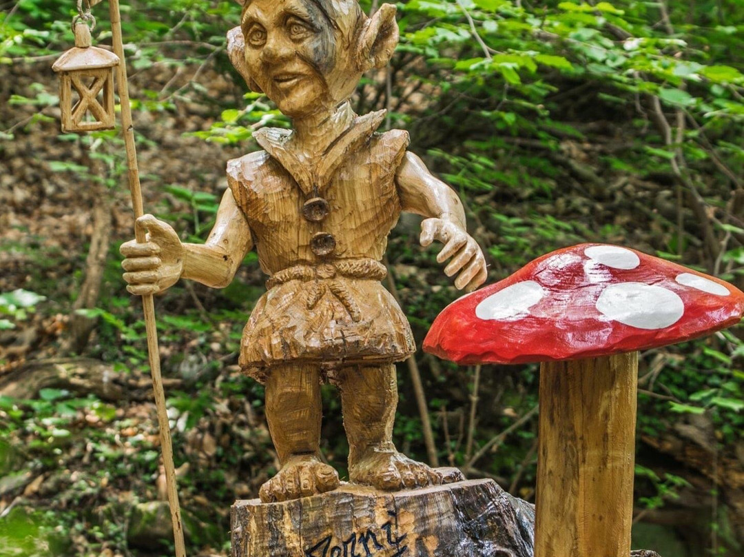 Sculture in Legno景点图片