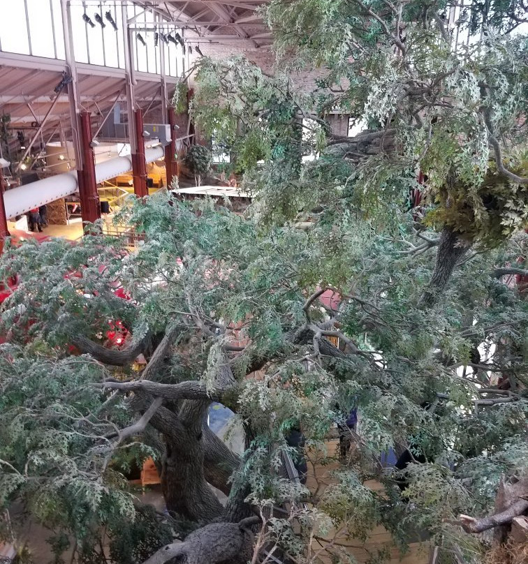 DNR Outdoor Adventure Center-底特律必去景点