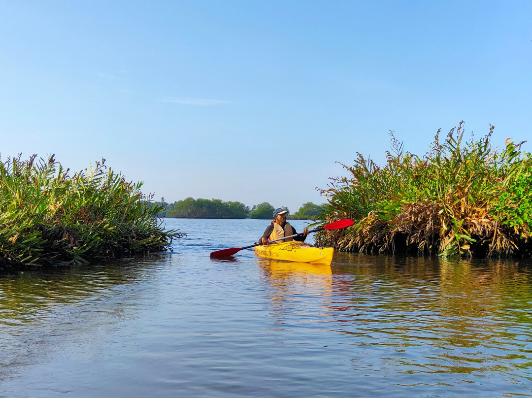 Tropiq Getaways LLP-Kothad必去景点