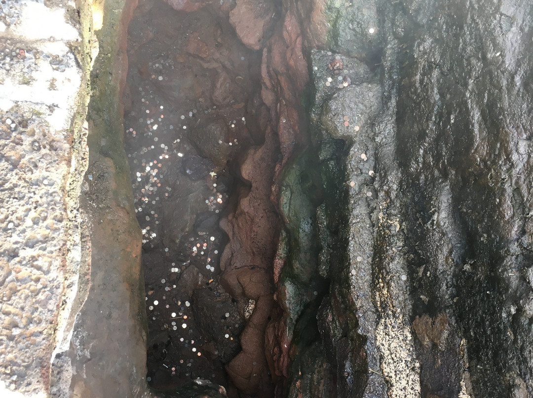 Sulphur Banks-夏威夷火山国家公园必去景点