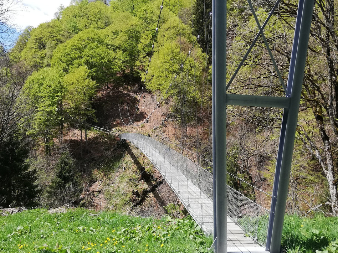 Suspension Bridge-克洛斯特必去景点
