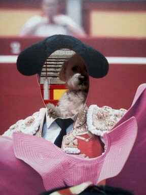 Plaza de Toros de Pamplona-潘普洛纳必去景点