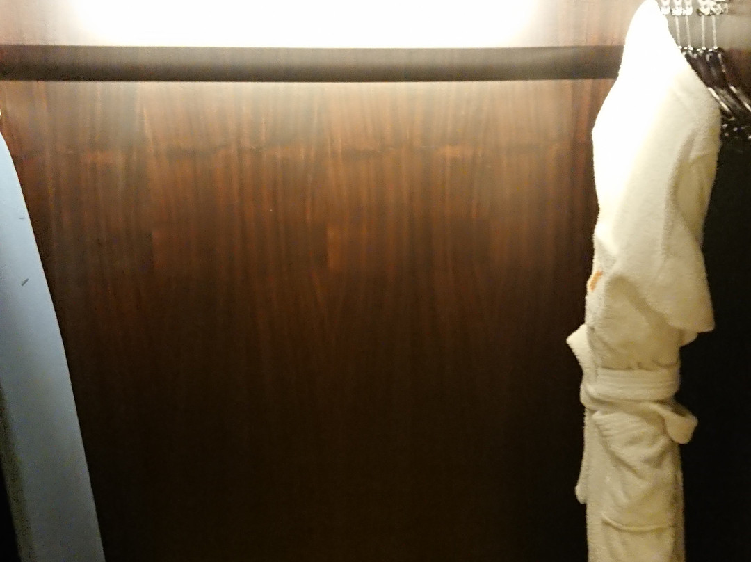 Millennium Hail Hotel主图