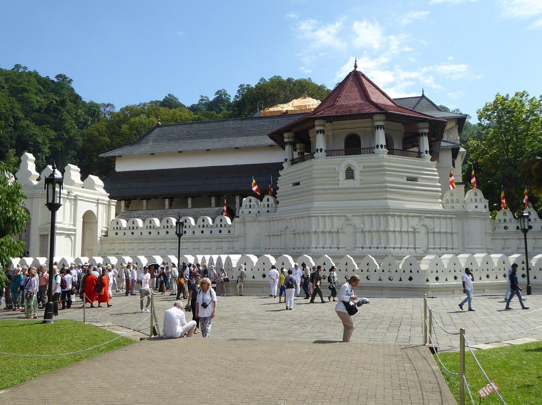 Sri Lanka Peter Tours景点图片