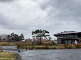 Mominoki Forest Park景点图片