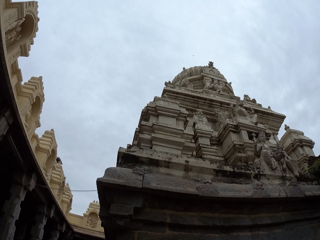 Navaneetha Krishna Temple景点图片