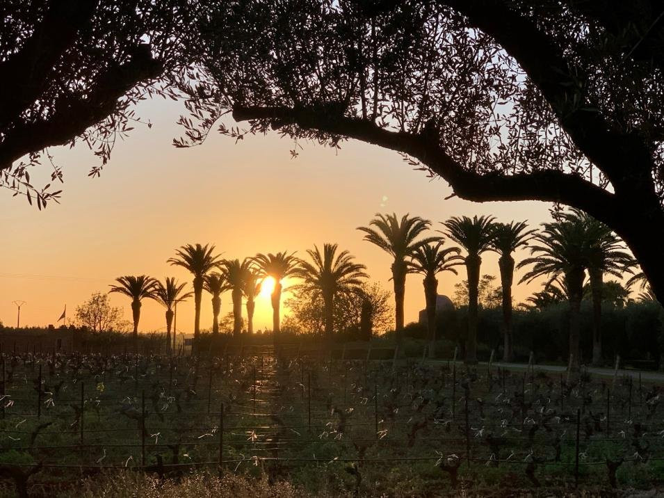 Chateau Roslane-梅克内斯必去景点