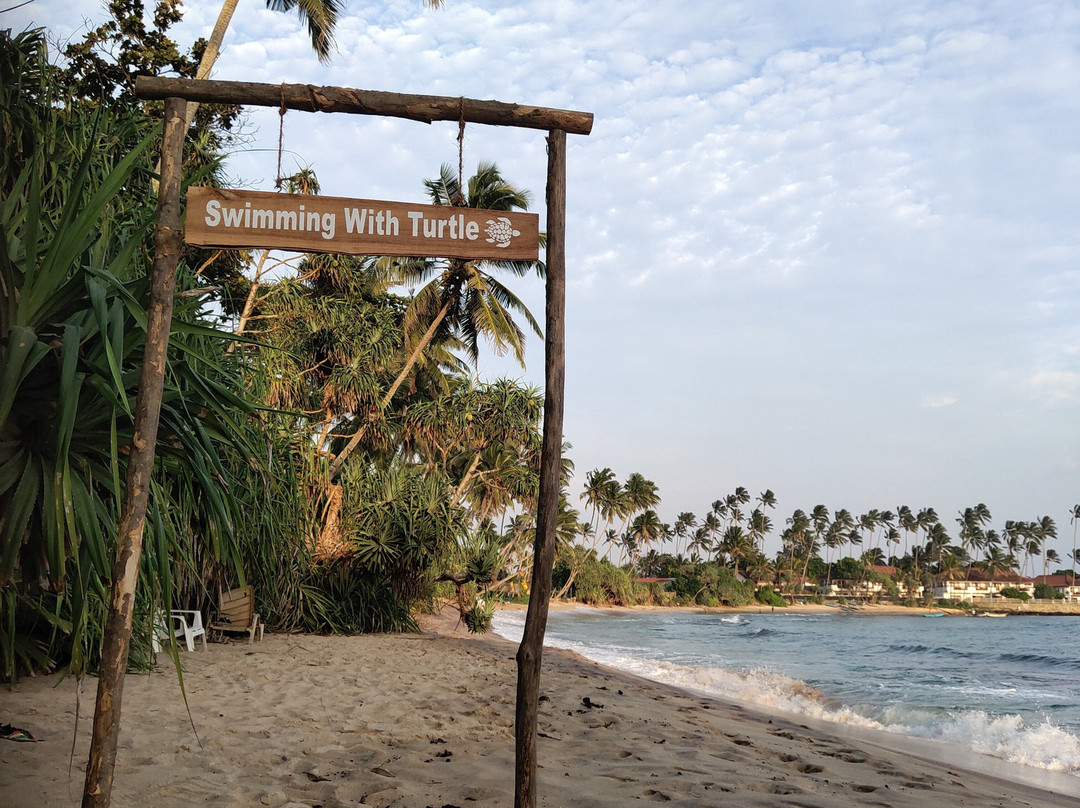 Coconut Palm Guesthouse主图