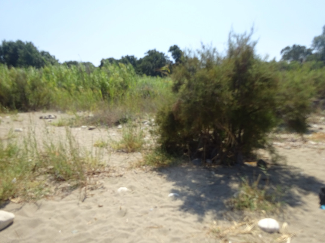 Polis Municipal Beach