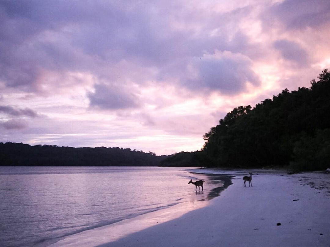 NIKKI Peucang-Pandeglang必去景点