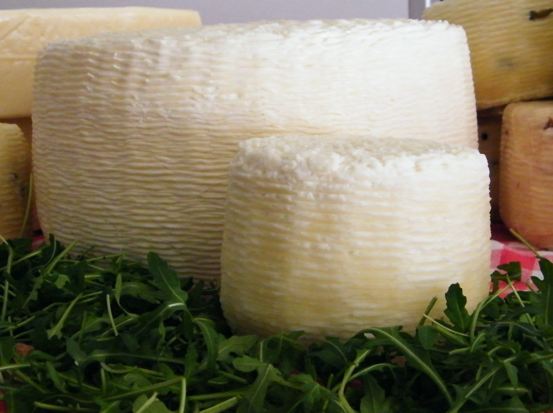 Caseificio in Cava Impiccichè-马尔萨拉必去景点