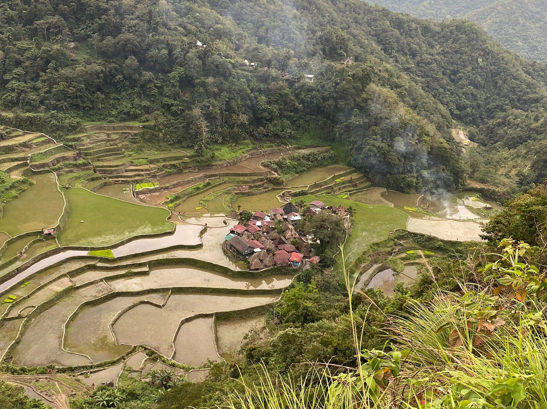 Bangaan Ifugao Rice Terraces景点图片