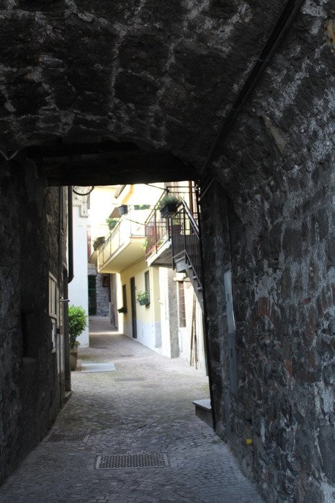 Vicolo Cavalli景点图片