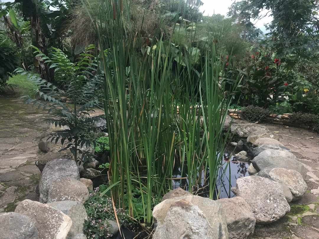 Koi Koi Cultural Village Hotel主图