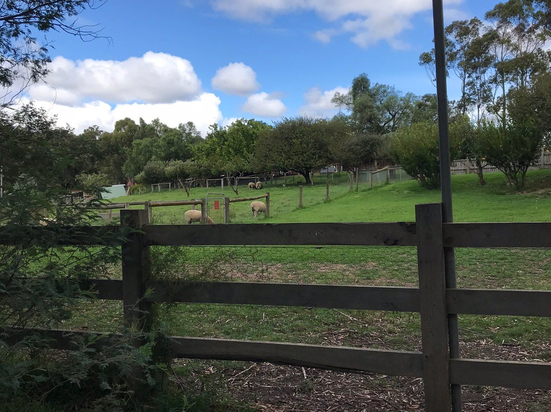 Edendale Community Environment Farm景点图片