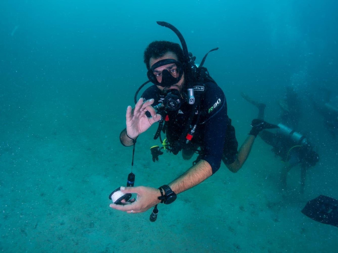Dive Vision-Amwaj Islands必去景点