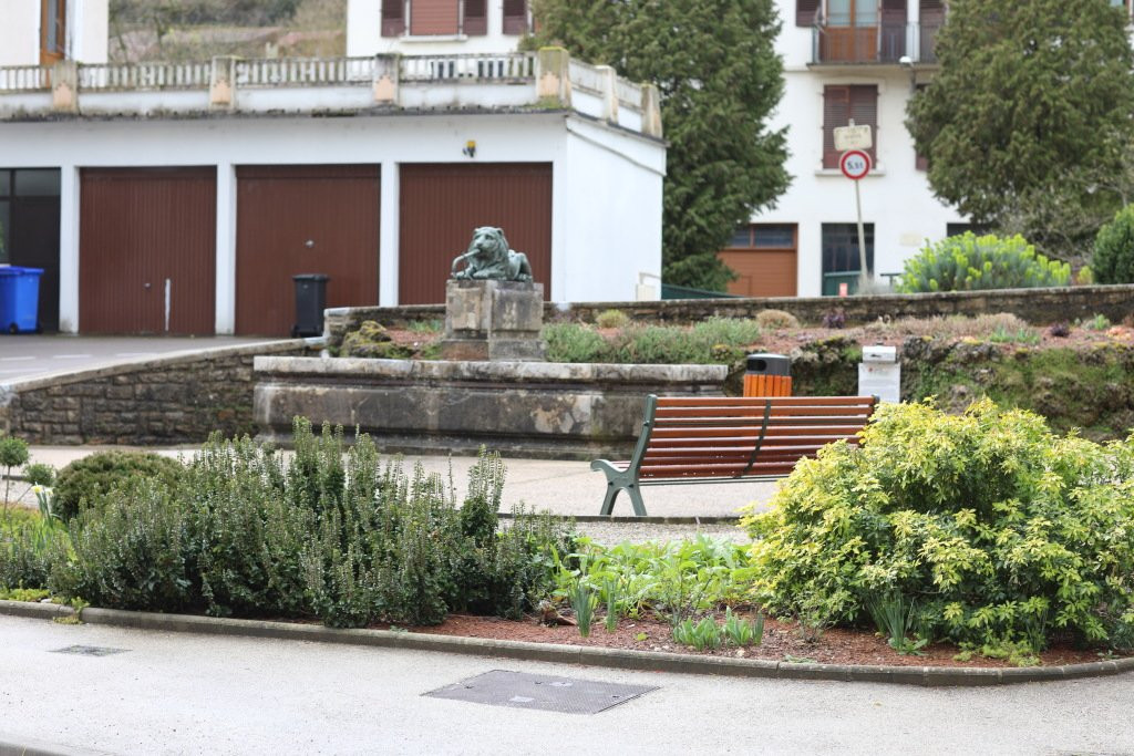 Fontaine au lion景点图片