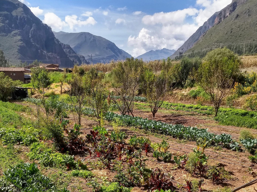 The Andean Alliance for Sustainable Development (AASD)景点图片