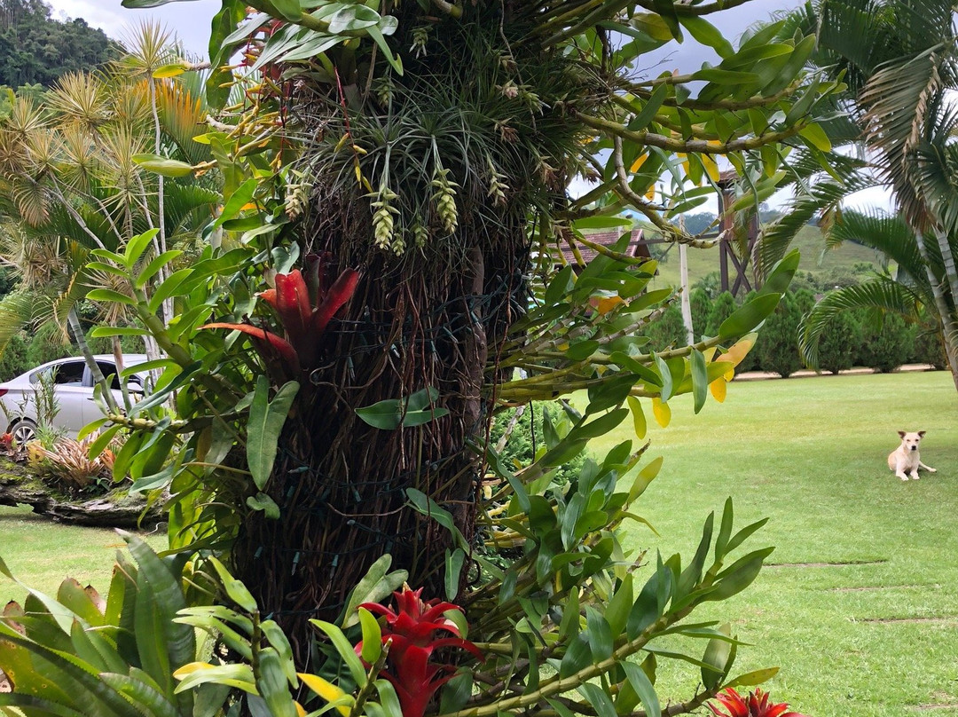 Pousada Estalagem Zuculotto主图