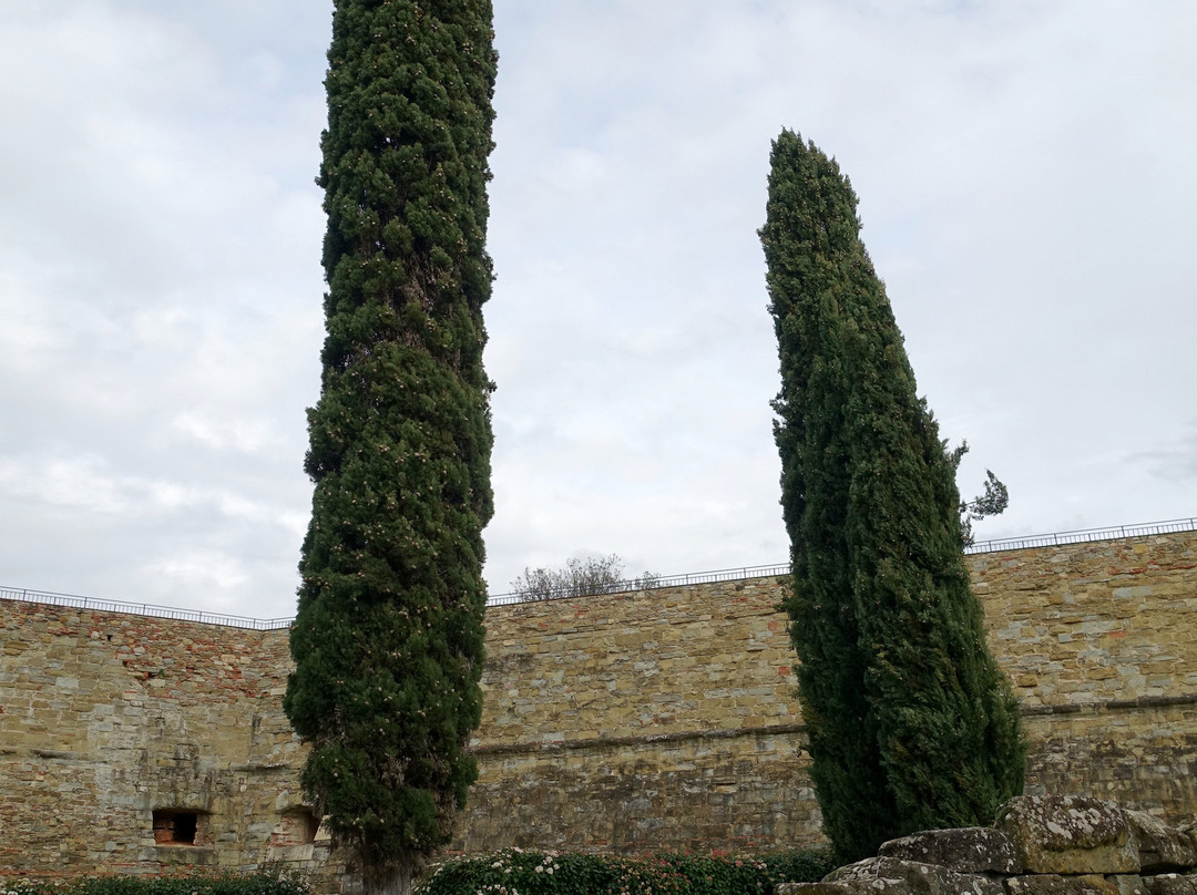 Fortezza Medicea景点图片