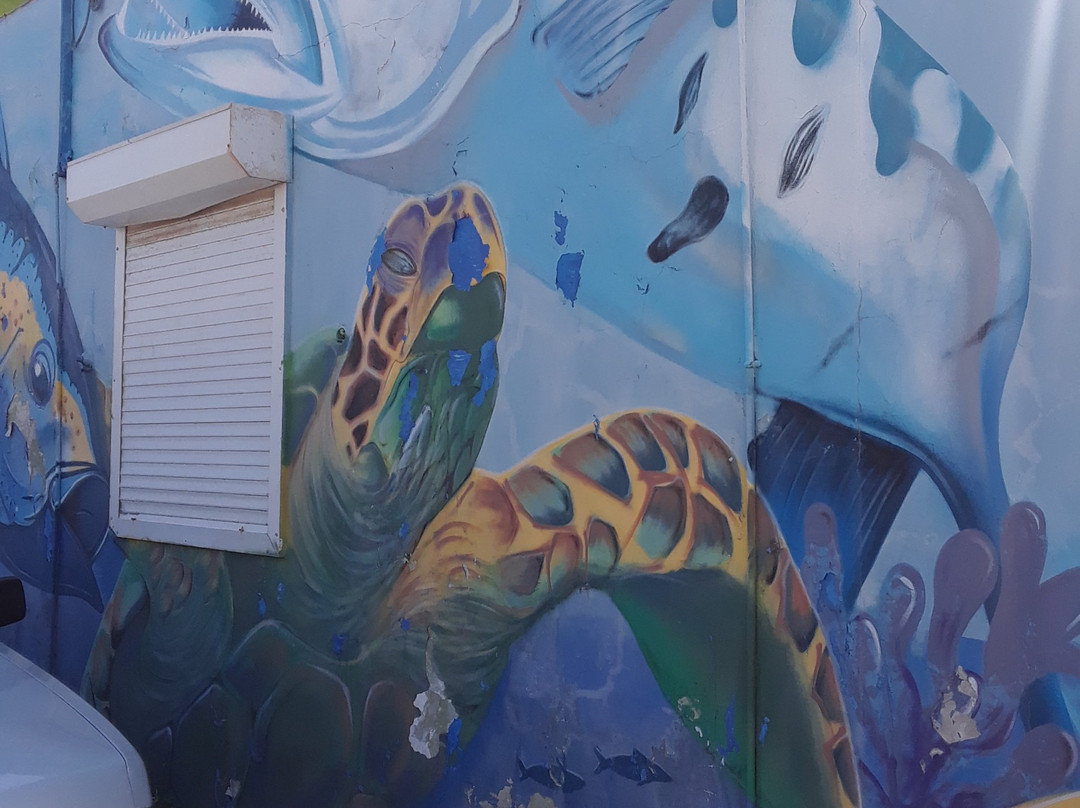 Street Murals By Aruba Art Fair-San Nicolas必去景点