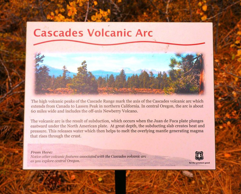 Lava Cast Forest Trail景点图片