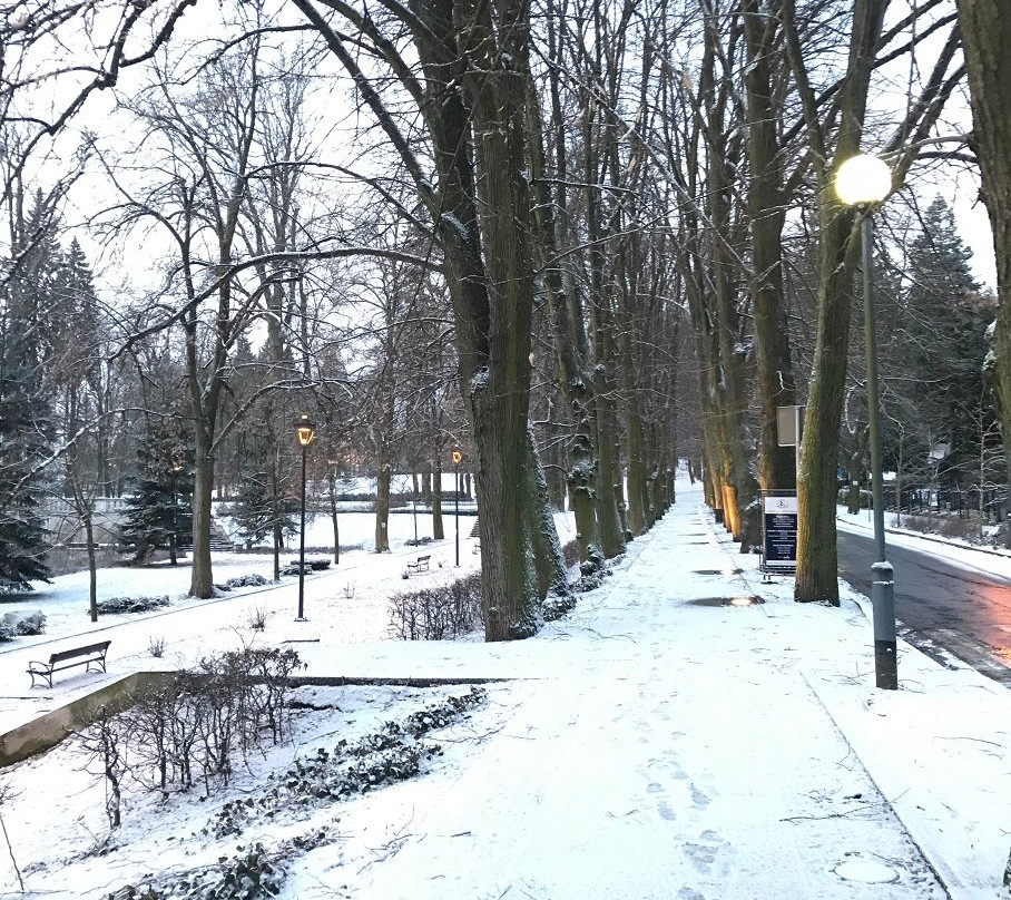 Chess Park景点图片