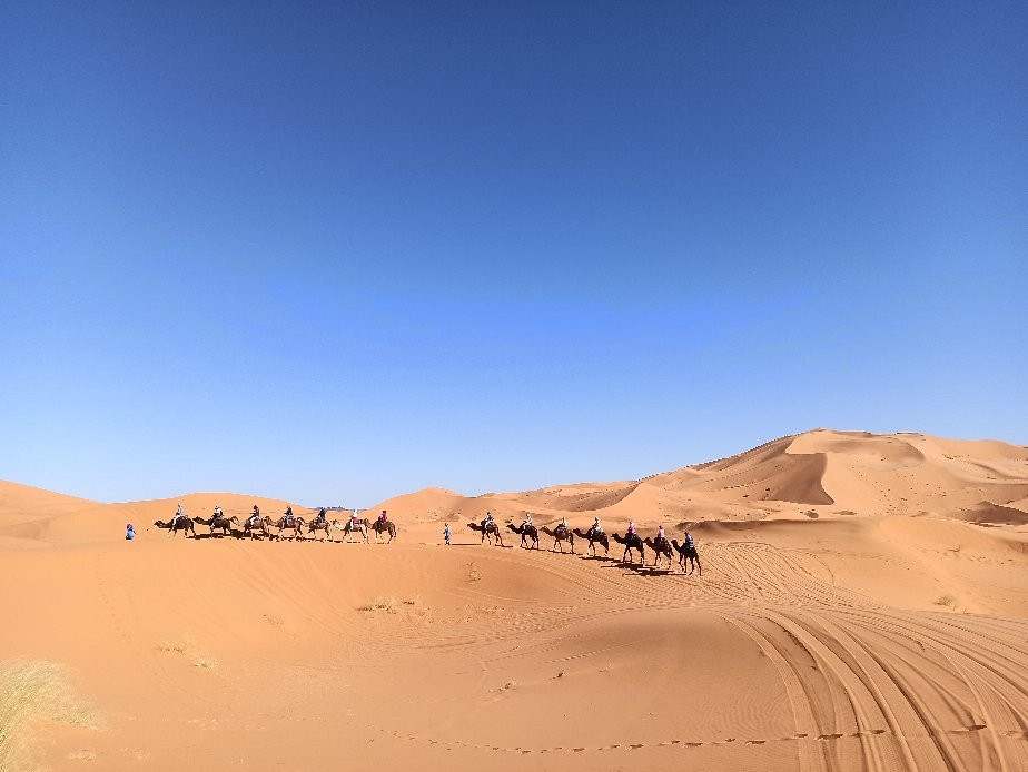 Morocco Desert Friends-非斯必去景点