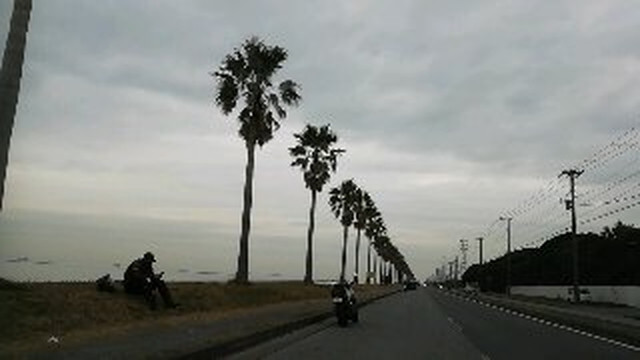 Chibafornia-袖浦市必去景点