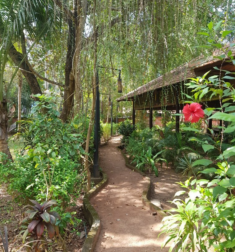 The Bohemian Masala主图