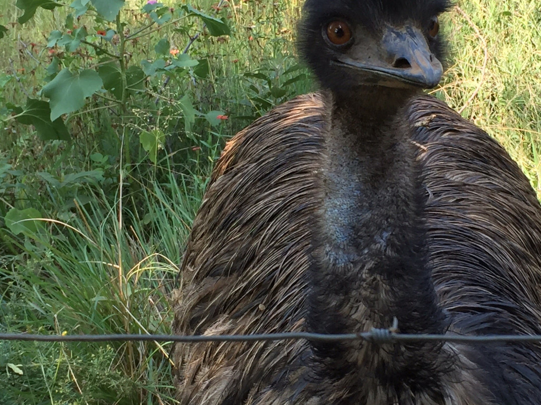 Pongoa Travel-南非西北必去景点