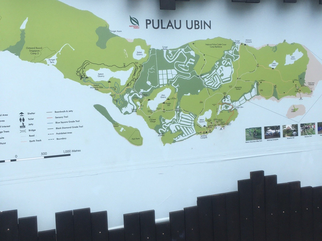 Chek Jawa-乌敏岛必去景点