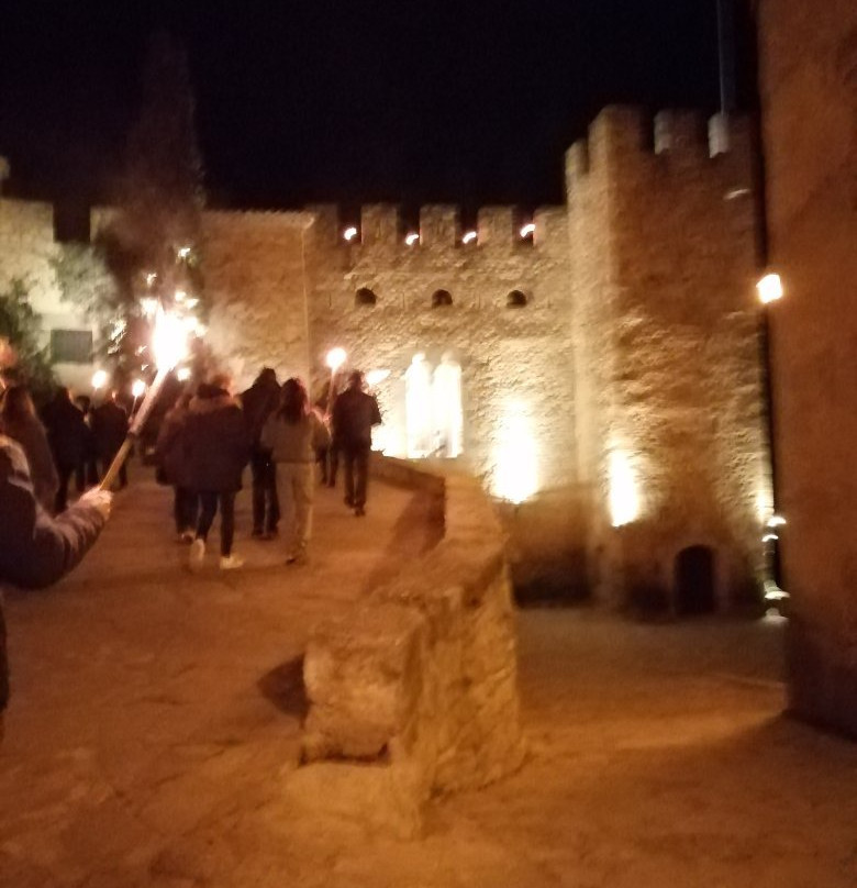 Castell De Montsonis景点图片