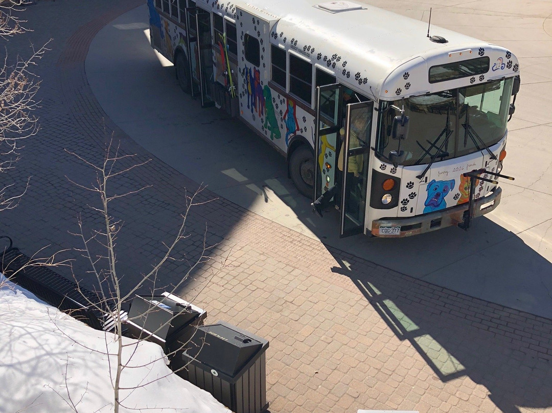 The Nordic Inn主图