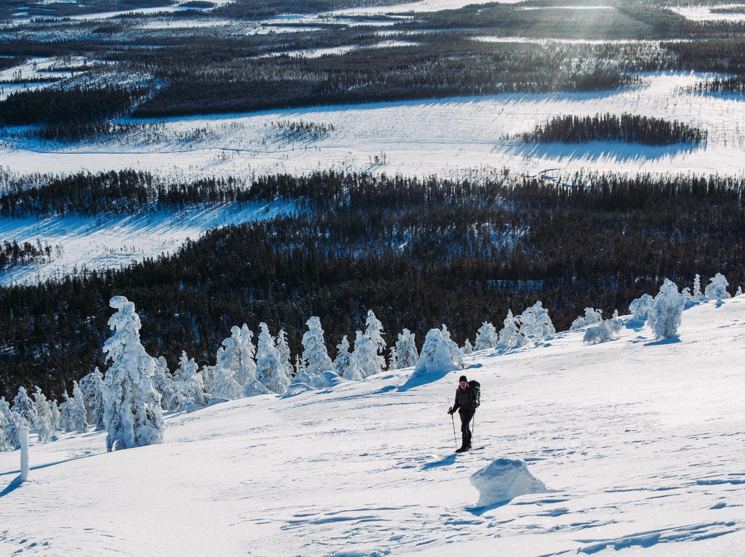 Taste Of Outdoors-Pyhatunturi必去景点