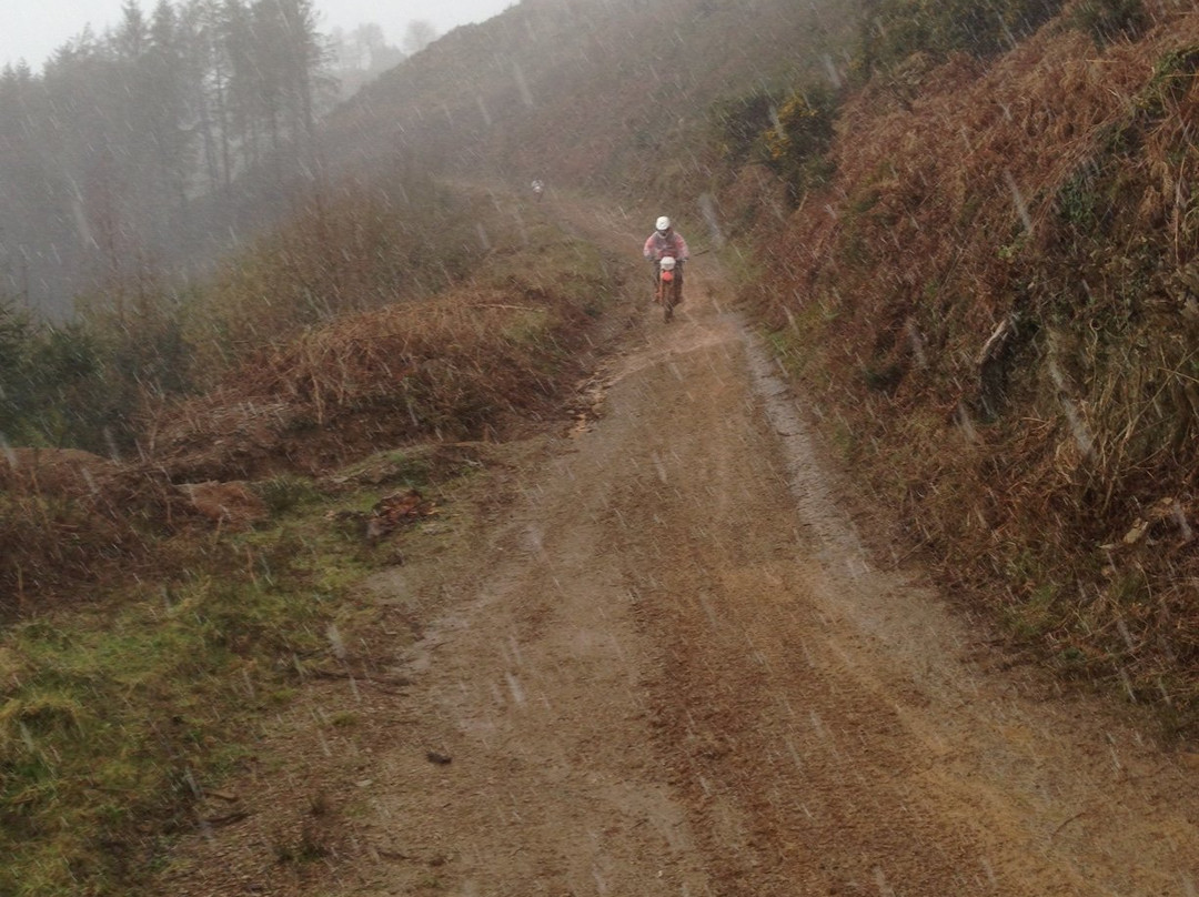 Dave Thorpe Honda Off-Road Centre景点图片