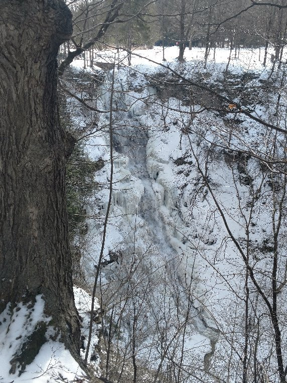 Pratt's Falls Park-Manlius必去景点