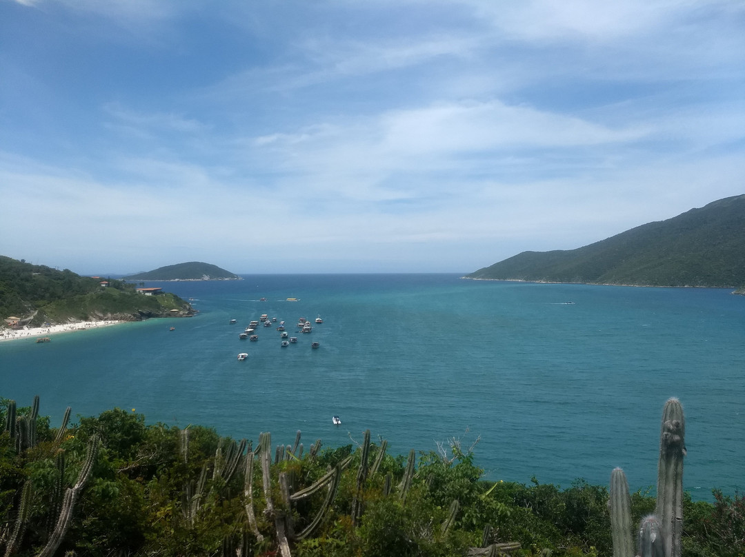 Pedra Perfil do Gorila-阿拉伊阿尔港必去景点