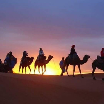 Marhaba to Morocco Tours-非斯必去景点