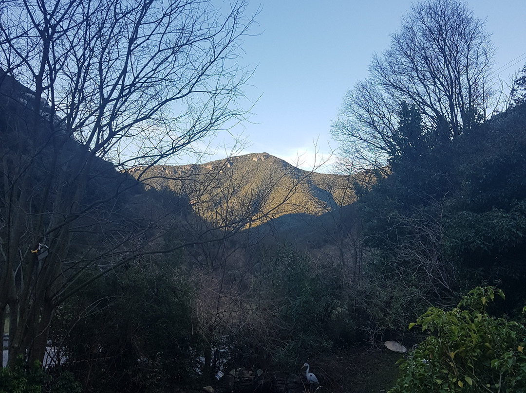 Domaine de la Carriere - Bed and breakfast主图
