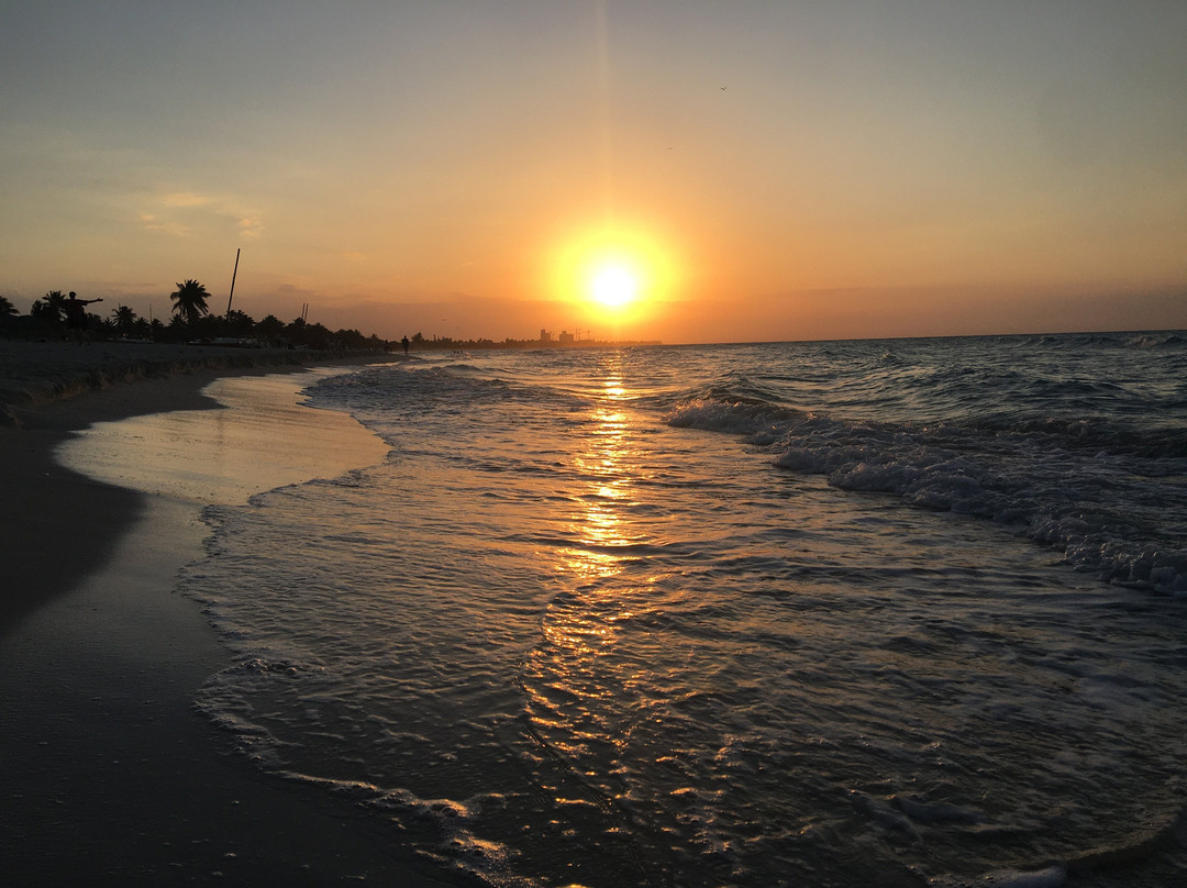 Hostal Mimi's Palace主图