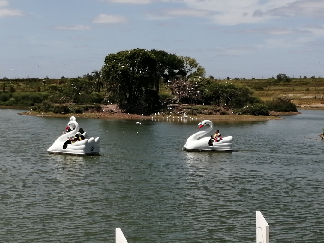 Parque natural de flora y fauna Dr. Talice景点图片